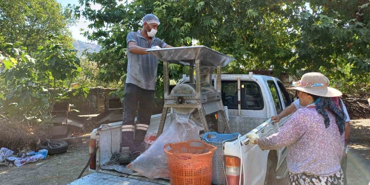 Selçuk’ta salça zamanı