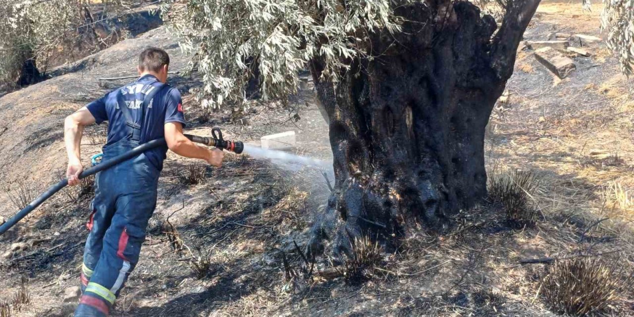 Aynı yer yeniden yandı ekipler harekete geçti