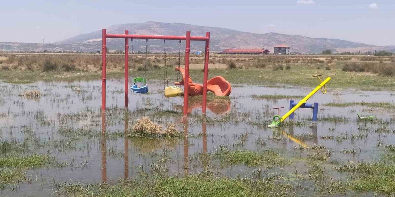 Bakımsız kalan kanallar merayı bataklığa çevirdi