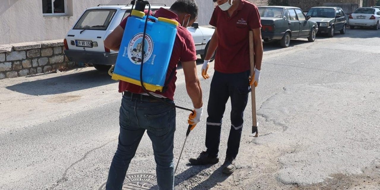 Koçarlı Belediyesi, haşereyle mücadelede 24 saat kesintisiz hizmet veriyor