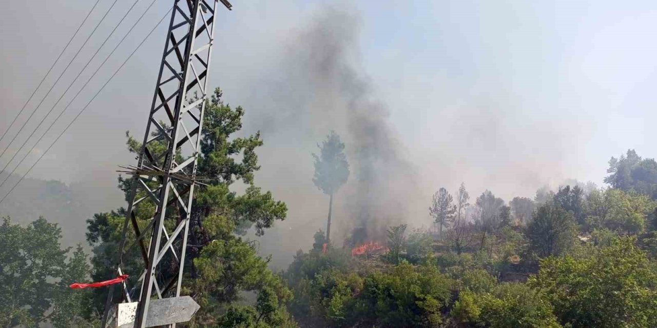Evde çıkan yangın ormana sıçradı