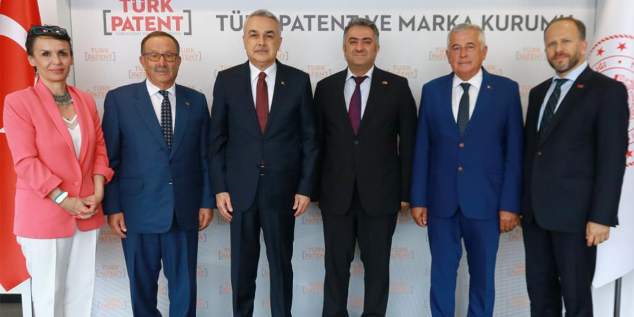 Aydın enginarı coğrafi işaret tesciline kavuşuyor