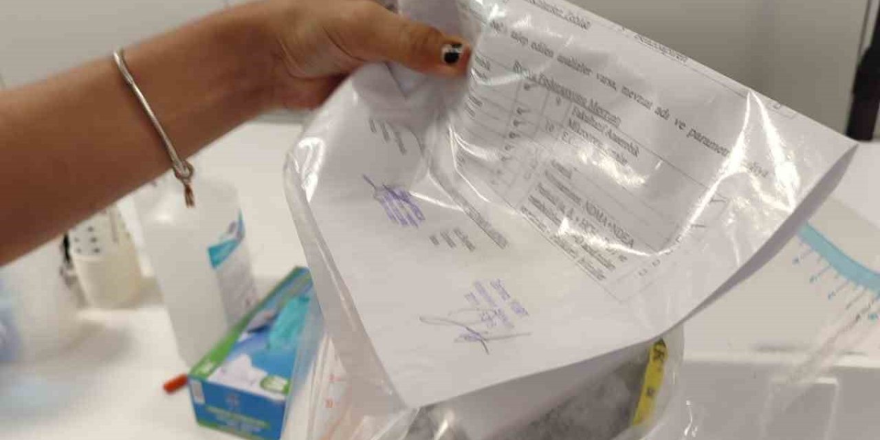 Söke’den Rusya’ya ihraç edilecek balıklar için sağlık kontrolü