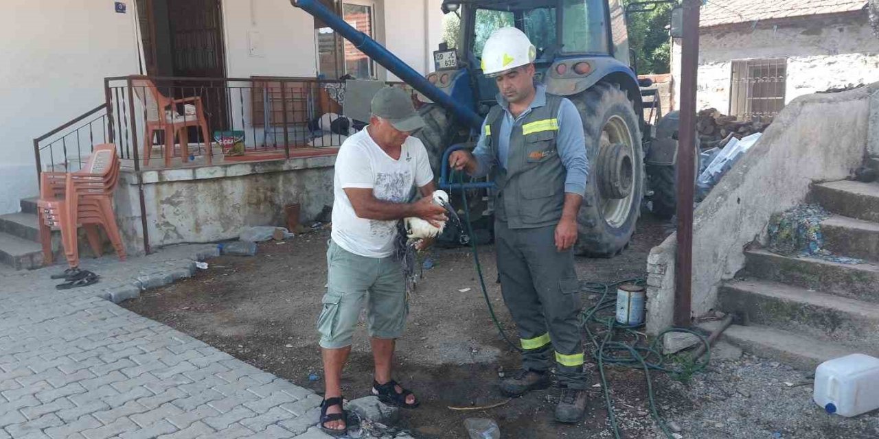 Vatandaşların dikkati leylek yavrusunu kurtardı