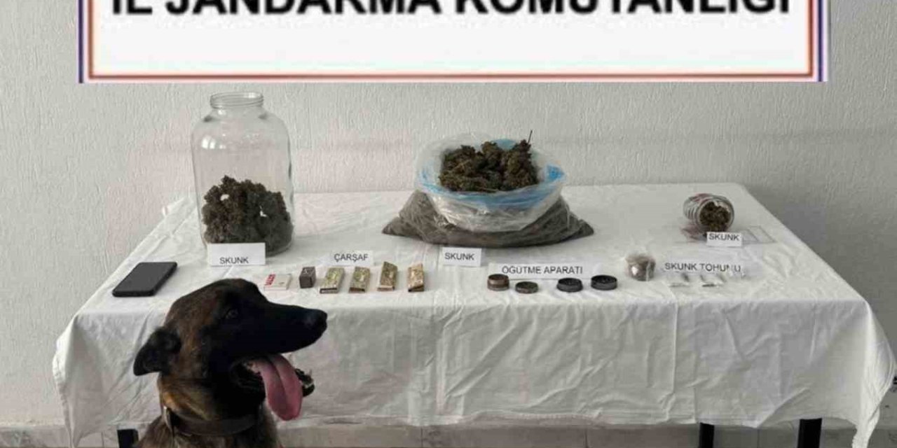 Ortaca’da uyuşturucu operasyonu: 1 tutuklama