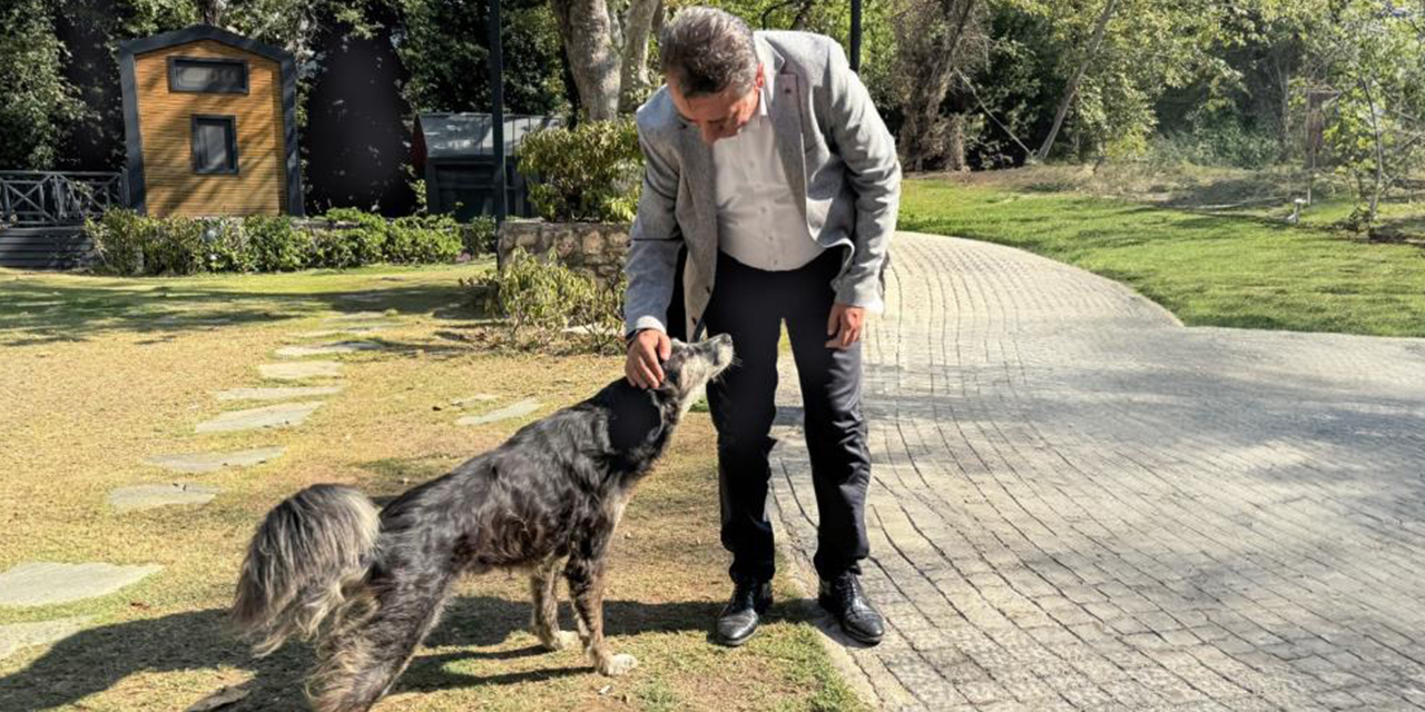 Başkan Yetişkin: "Canlarımızı Efeler’de yaşatacağız"