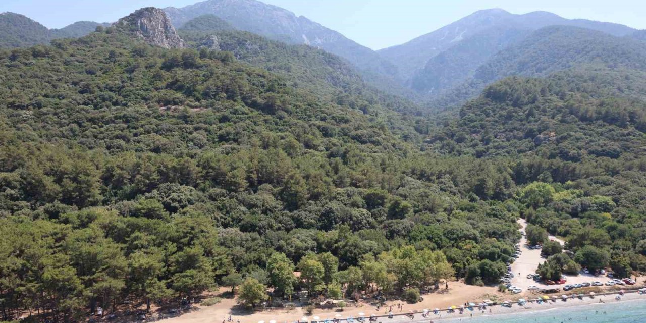 Yaban hayatının son sığınağı için tedbirler alındı