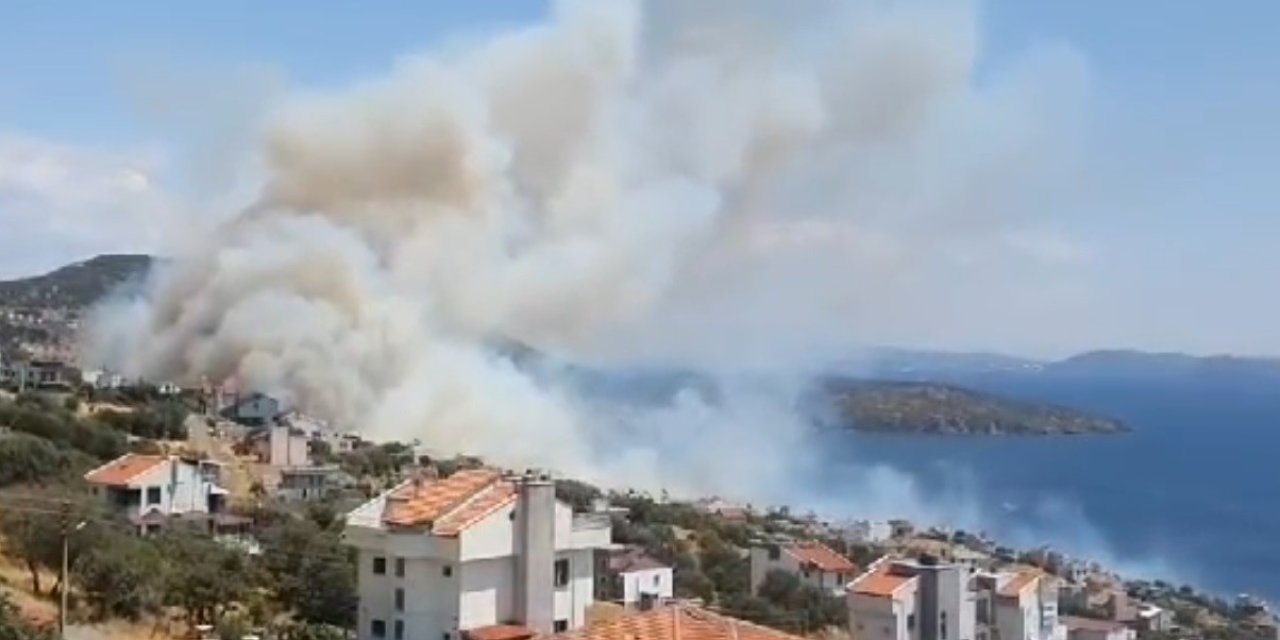 Dikili’deki orman yangınına takviye