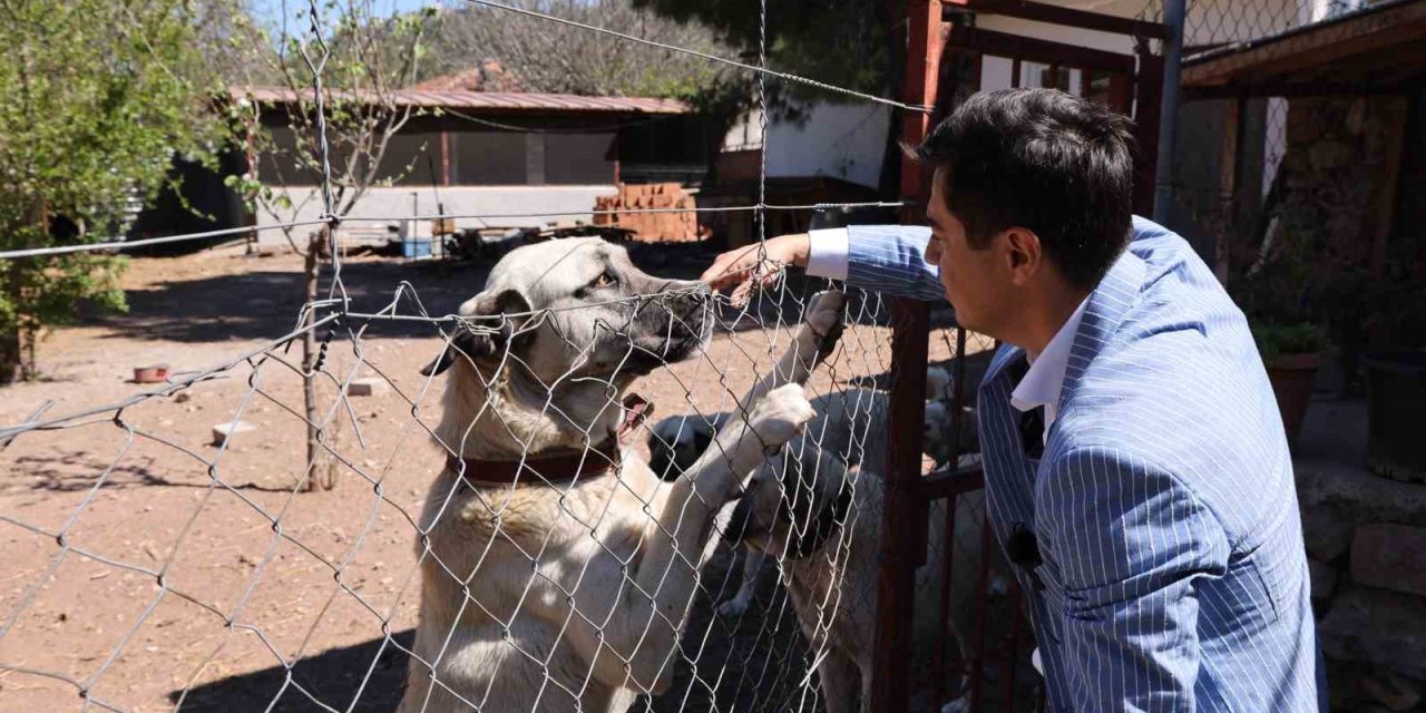 Başkan Ünlü’den ‘sahiplenme’ çağrısı