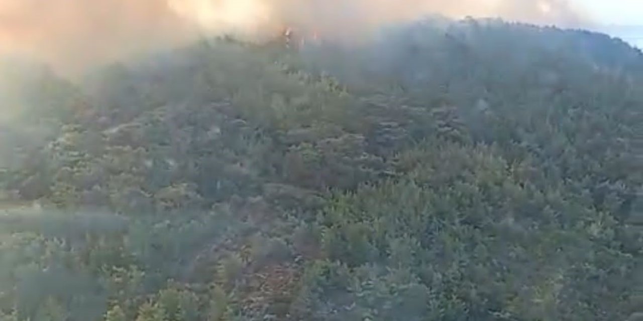 Urla’da orman yangını