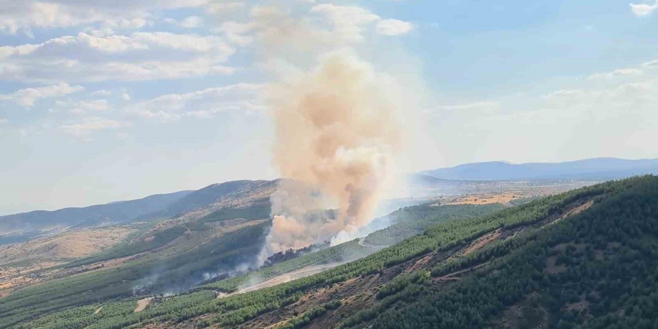 Çivril’deki yangında 8 hektar alan zarar gördü