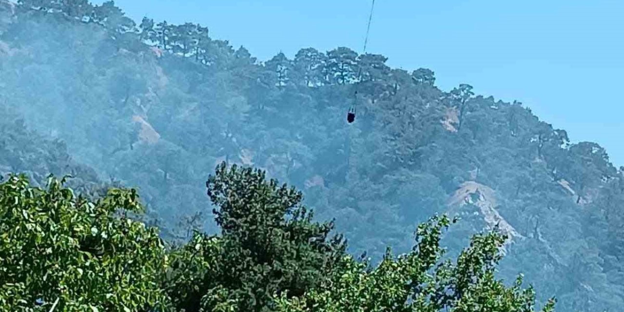 Kuyucak’taki orman yangınının sebebi belli oldu