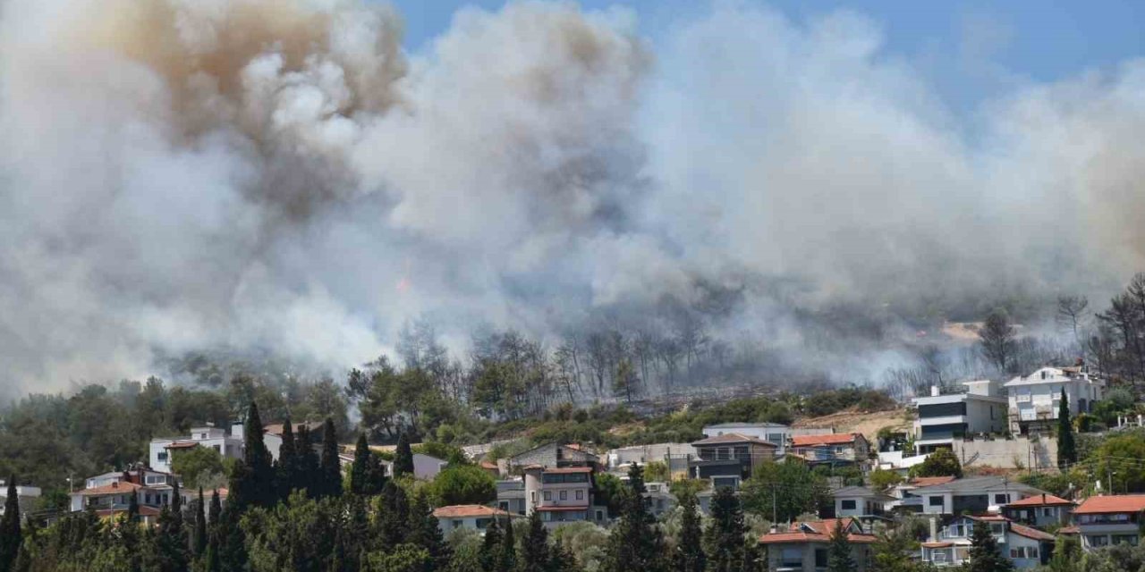 Urla ve Çeşme’de orman yangını