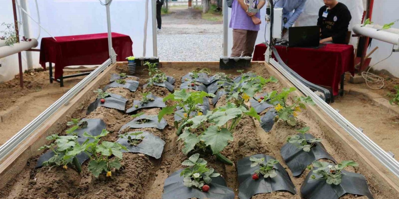 Muğla’da iki proje faydalı model olarak tescillendi