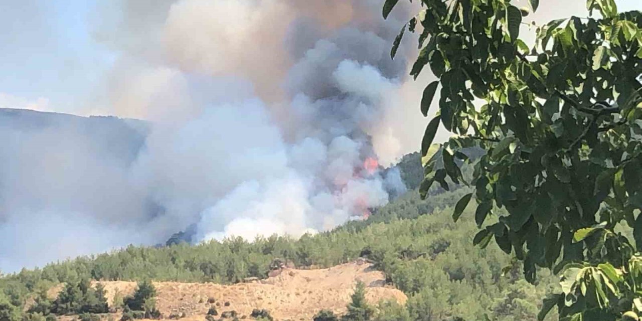 Çine’de orman yangını