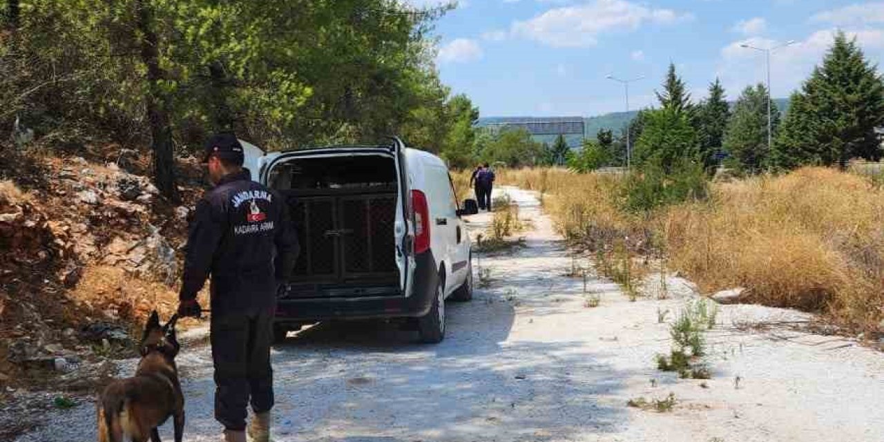 Kaybolan alzheimer hastası kadını arama çalışmaları devam ediyor