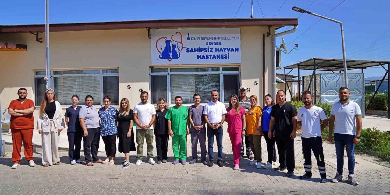 Sokak hayvanları bu hastanede şifa buluyor