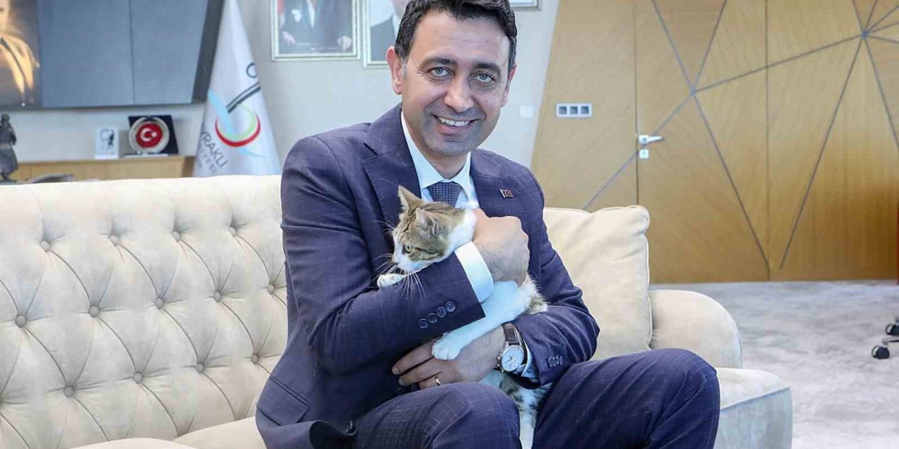 Bayraklı Belediyesi, can dostları sahiplendirme kampanyası başlattı