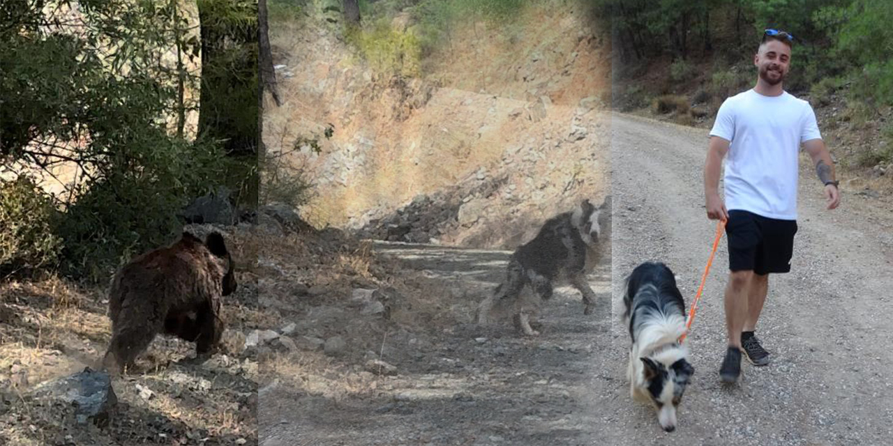 Köpeği ile gezerken yavru ayı ile karşılaştı