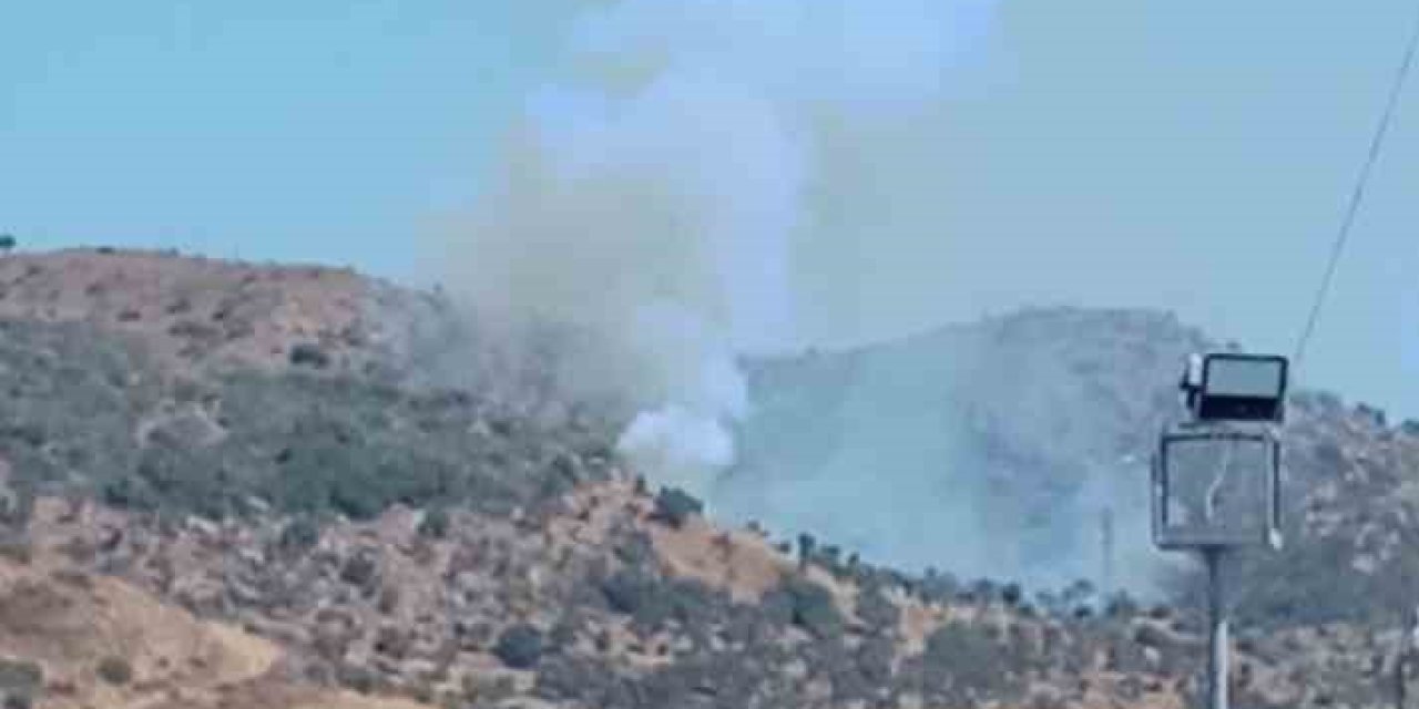 Milas Ören’de arazide çıkan yangın söndürüldü