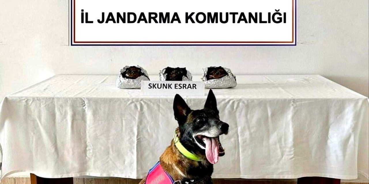 Uyuşturucuyu tütünle kaplamış