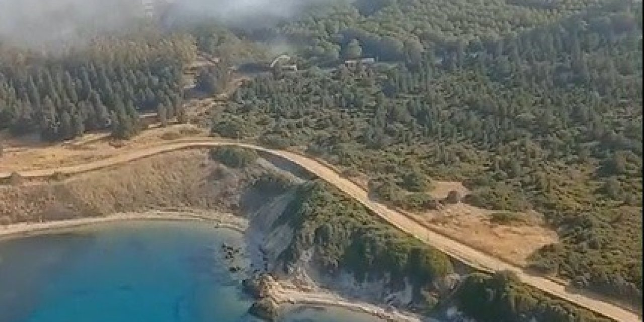 İzmir’de orman yangını
