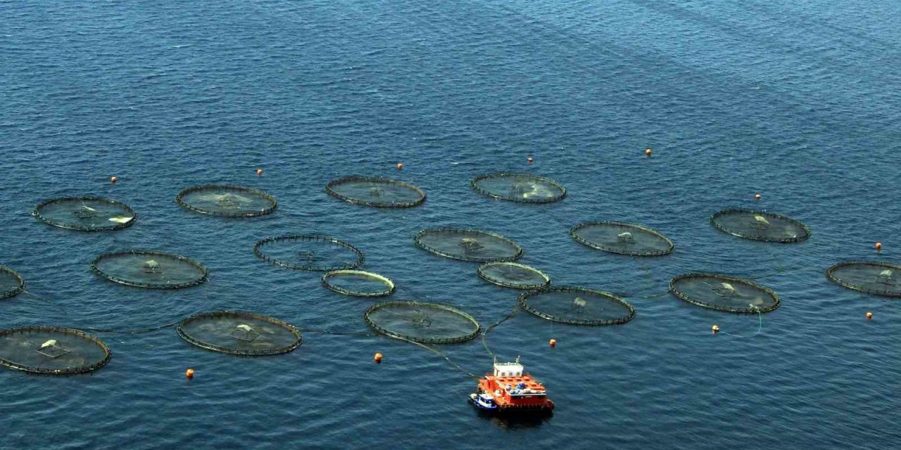 Muğla, Temmuz’da 91 milyon dolarlık ihracat ile Ege’de 4’üncü sırada yer aldı