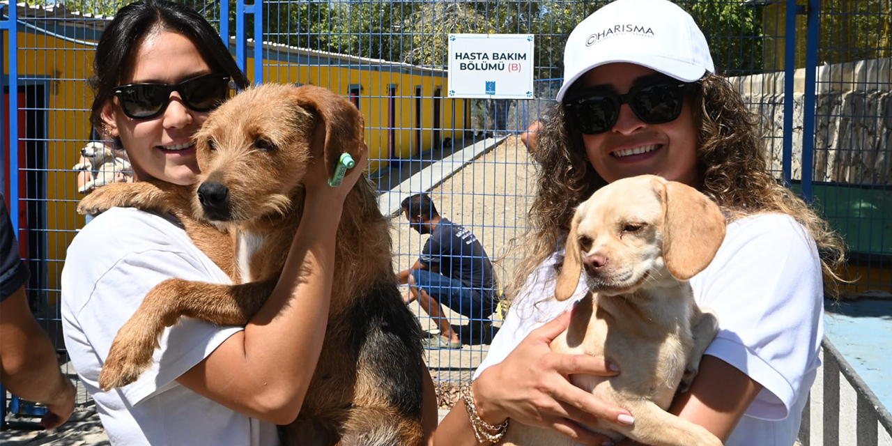 Kuşadası Belediyesi 18 can dostu ömürlük yuvasına kavuşturdu