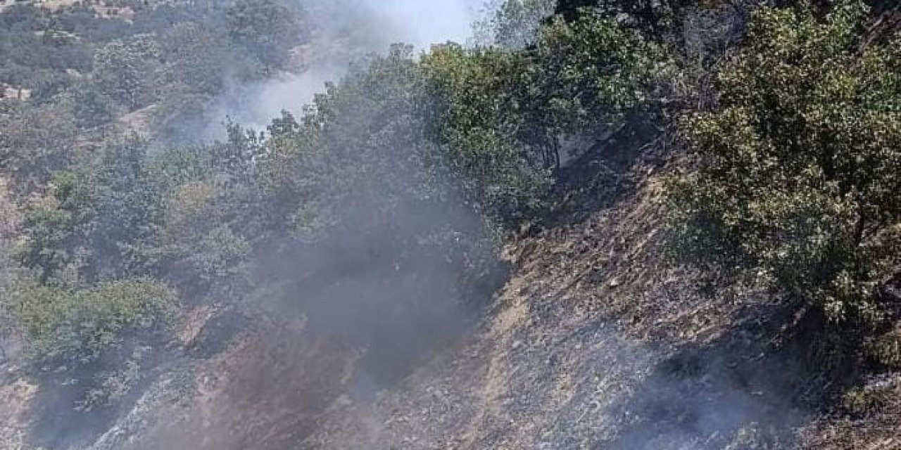 Araçtan çıkan ormana sıçrayan yangın kontrol altına alındı