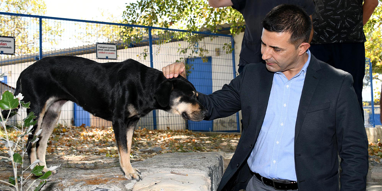 Başkan Ömer Günel: “Şartlar ne olursa olsun can dostlarımızı yaşatacağız”