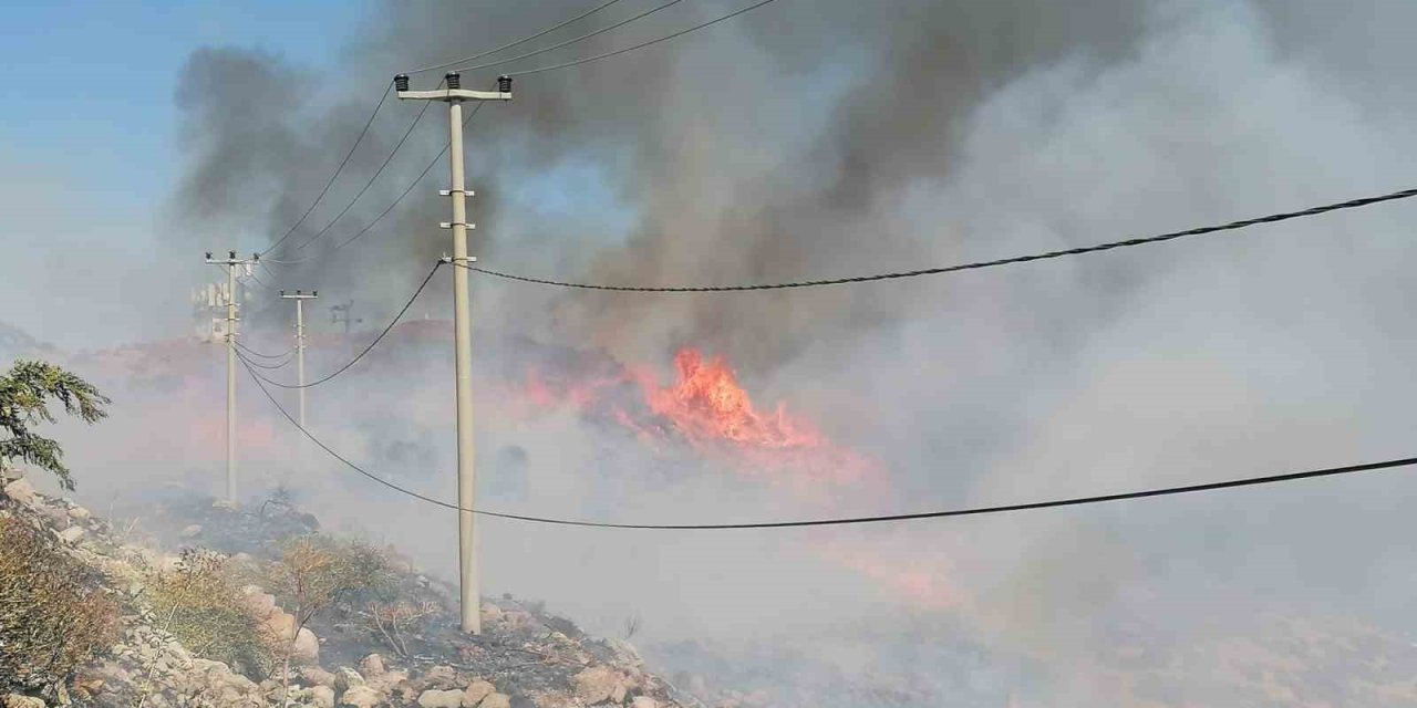 Bodrum’da korkutan yangın