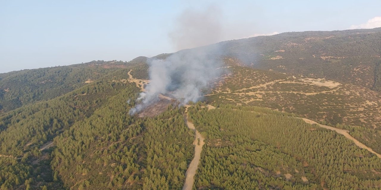Nazilli’deki orman yangınında 3 hektar alan zarar gördü