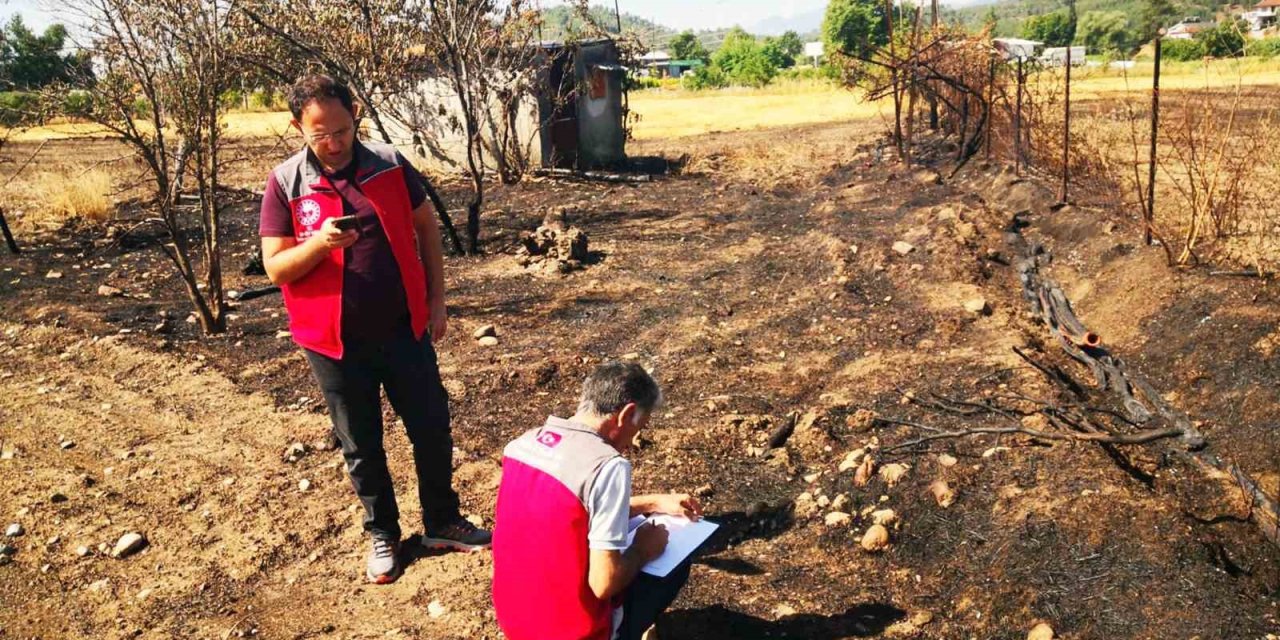 Muğlalı tarımsal üreticilere 6 ayda 30 milyon TL tazminat ödendi