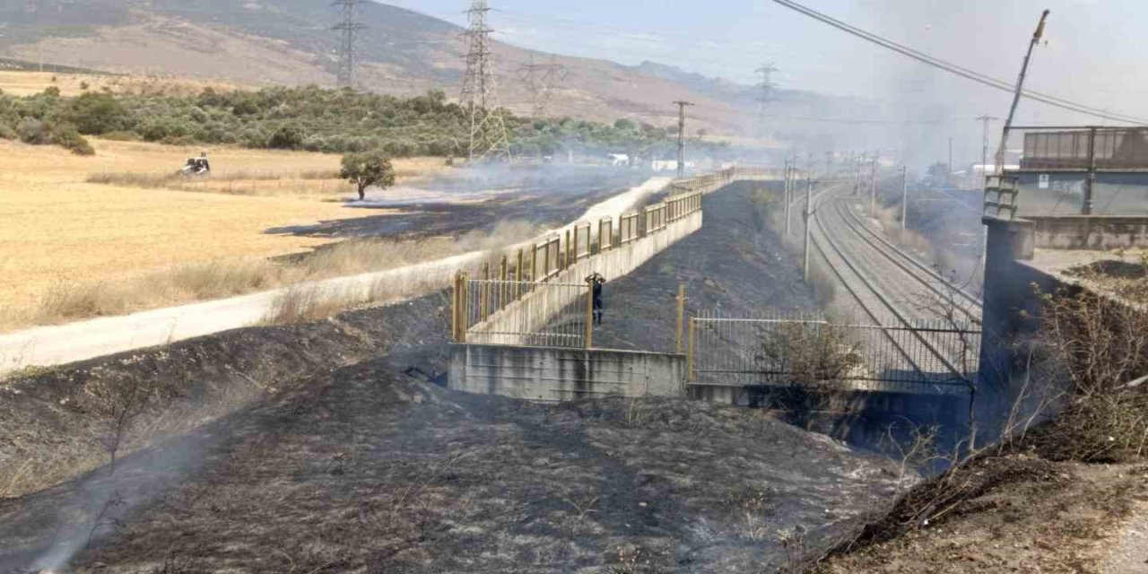 Yol kenarına atılan sigara izmariti yangına sebep oldu