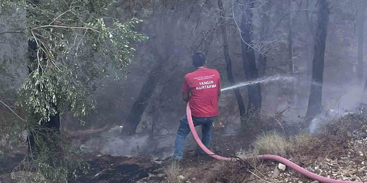 Milas yangınına bölgedeki Termik Santral ekipleri de müdahale ediyor