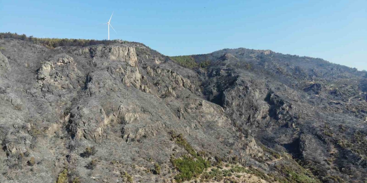 Yangın sonrası acı tablo gün ağarınca ortaya çıktı