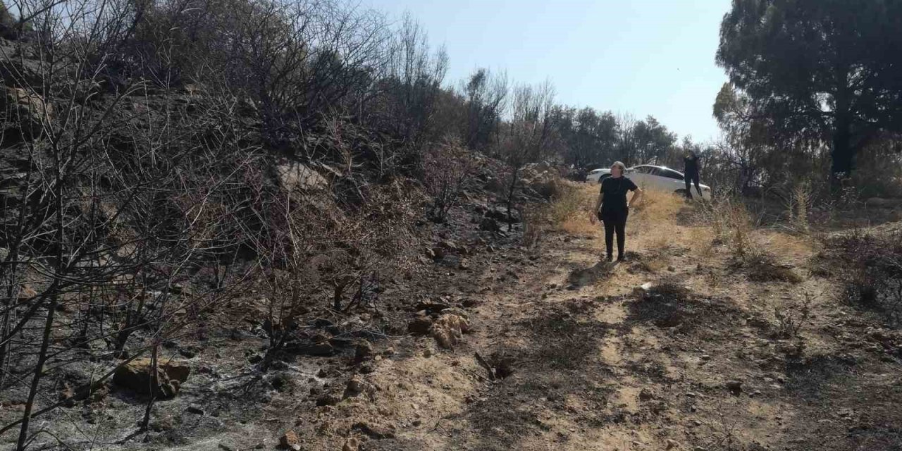 Yangından zarar gören tarımsal alanlarda incelemelerde bulunuldu