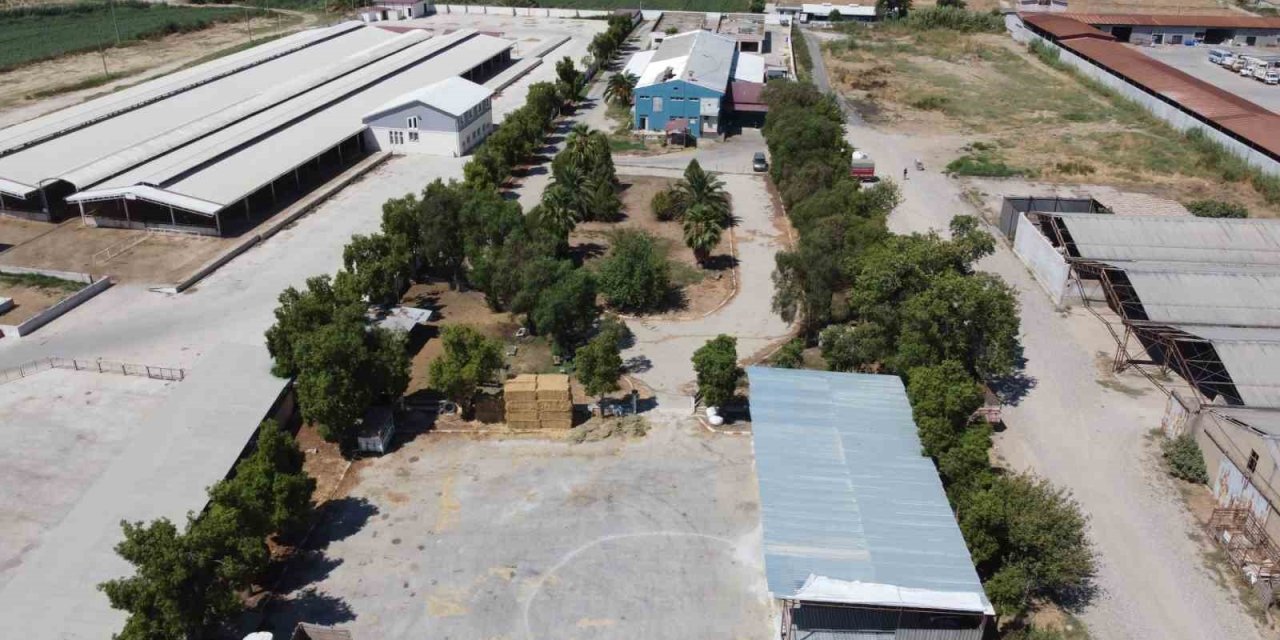 Nazilli Belediye Mezbahası’nda yeni dönem