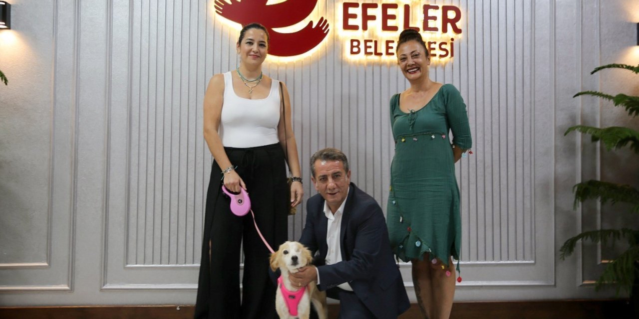 Efeler Belediye Başkanı Yetişkin: "Efeler’deki her can güvende"