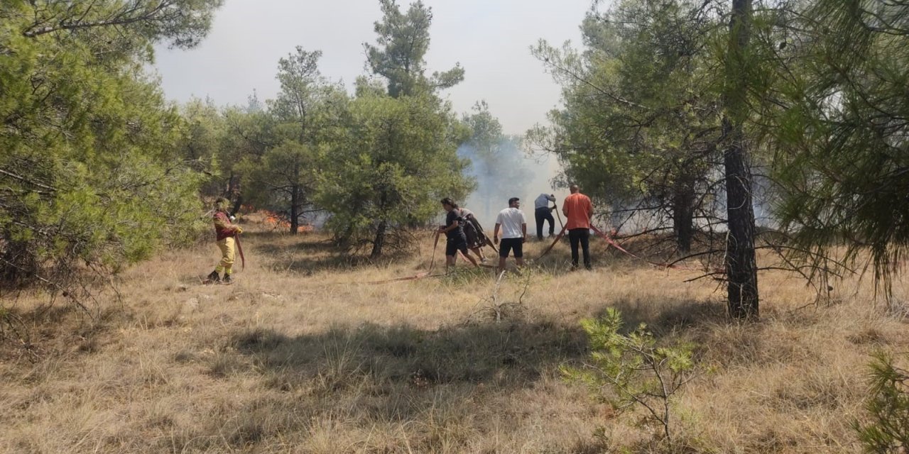 Denizli’de orman yangınına havadan ve karadan müdahale ediliyor