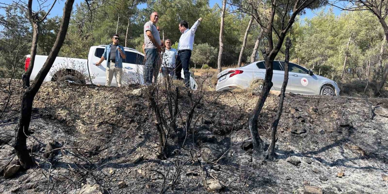 Milas yangınında 13 dekar tarım alanı zarar gördü
