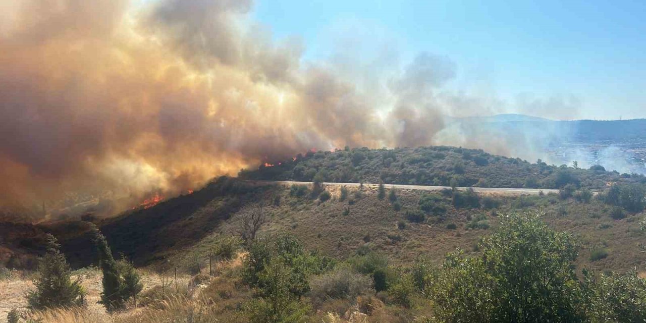 İzmir’de ormana sirayet eden yangına havadan ve karadan müdahale
