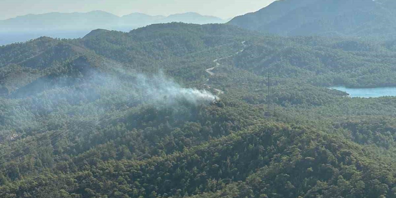 Muğla’da orman yangını