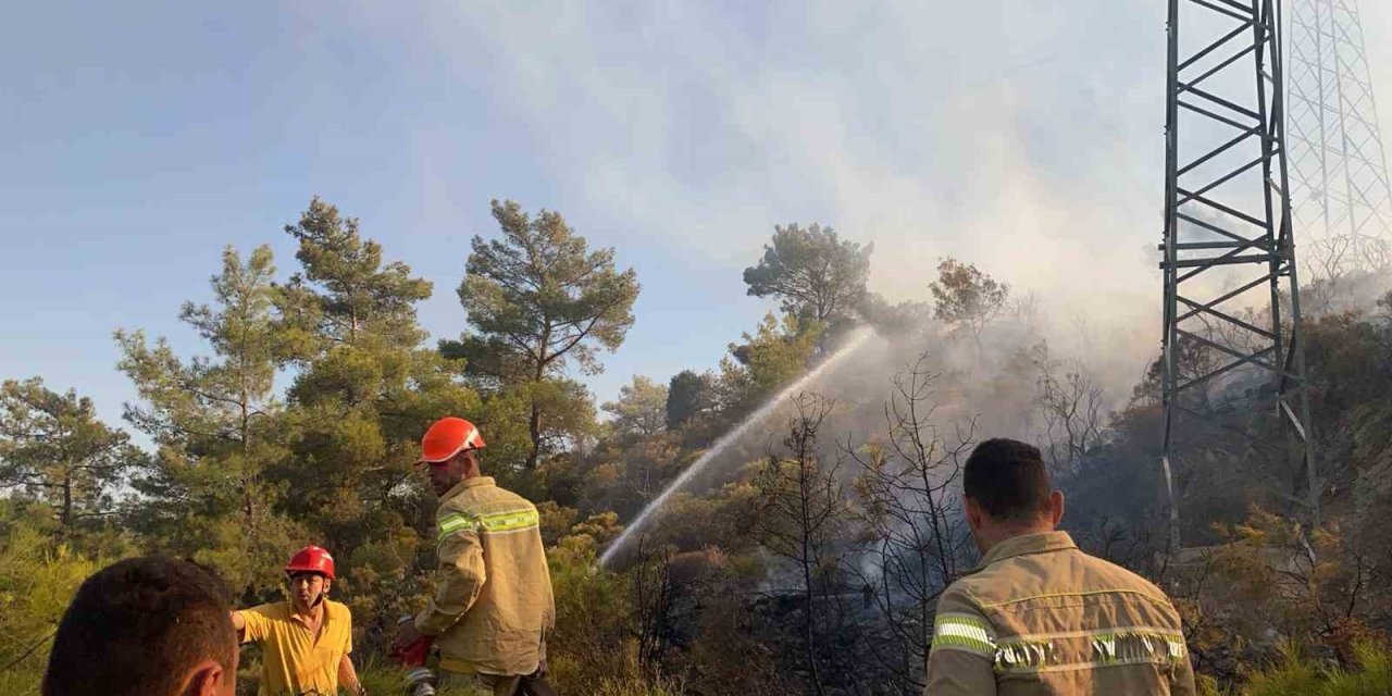 Muğla’daki orman yangını büyümeden kontrol altına alındı