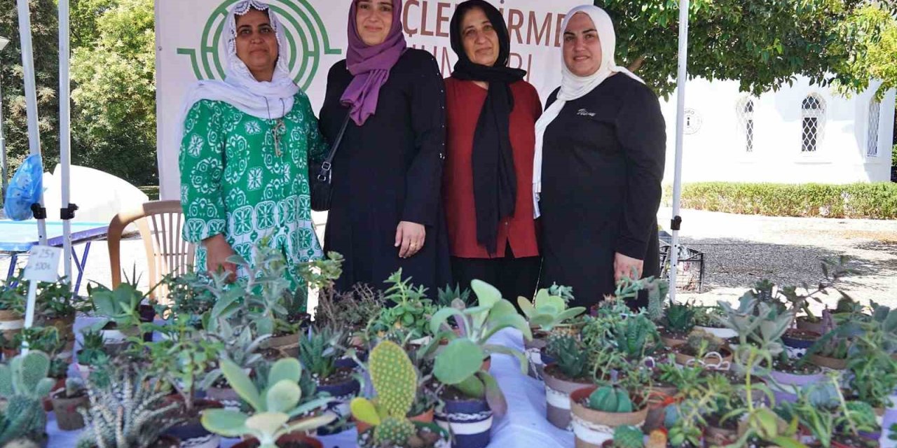 Hem tohumlar hem kadınlar güçleniyor