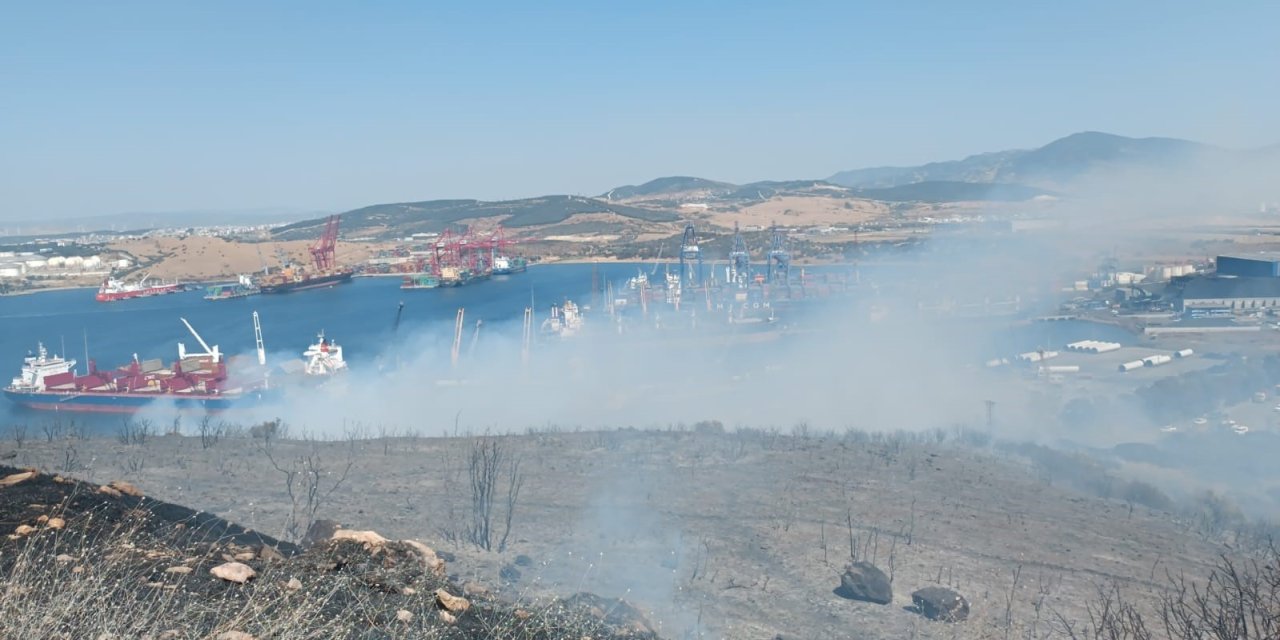 İzmir’de orman yangını