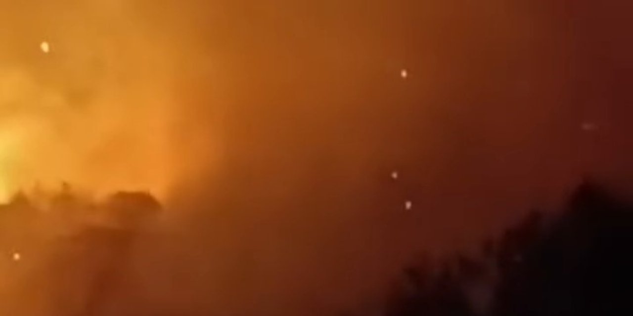 Germencik’te arazi yangını