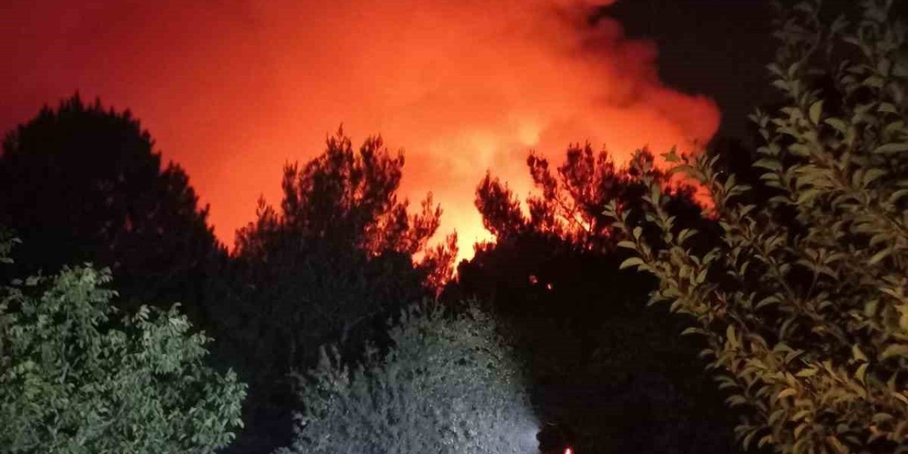 Karşıyaka’da orman yangını