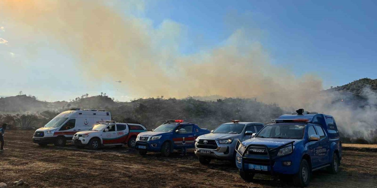Bozdoğan’daki yangın kontrol altına alındı