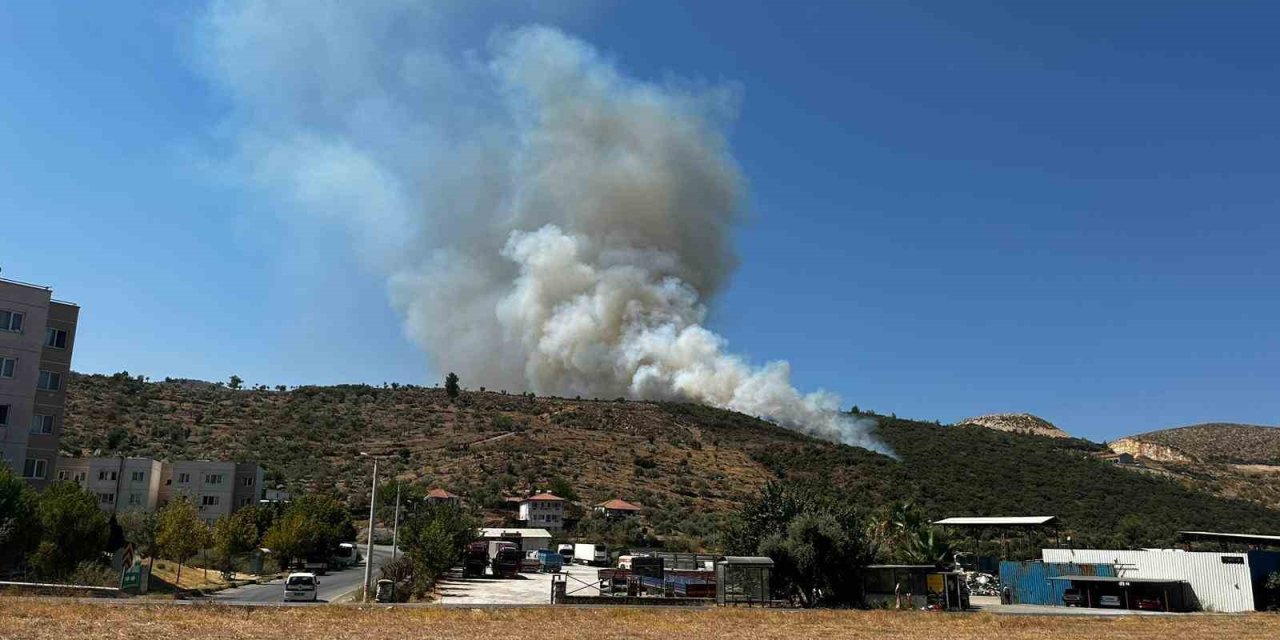 Milas’ta zirai alan yangını